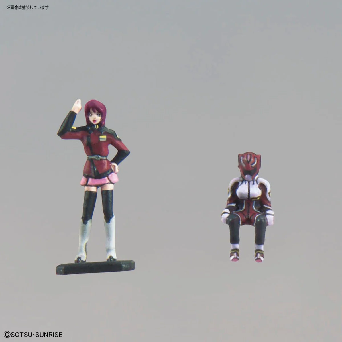 MG Gunner Zaku Warrior (Lunamaria Hawke Custom)