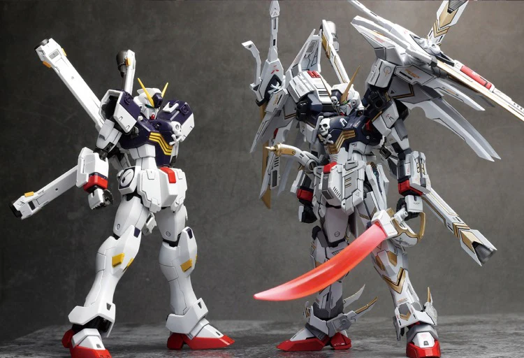 AEther 1/100 Crossbone Gundam X-1 Full Cloth 2.0 Conversion Kit