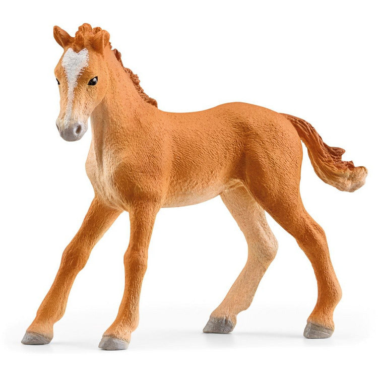 Lakeside Riding Center