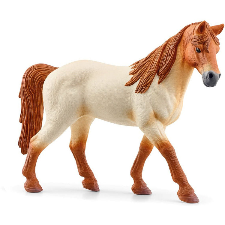 Lakeside Riding Center