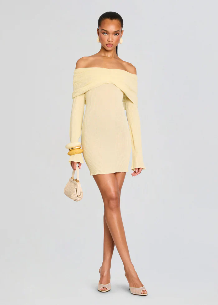 Xen Knit Mini Dress