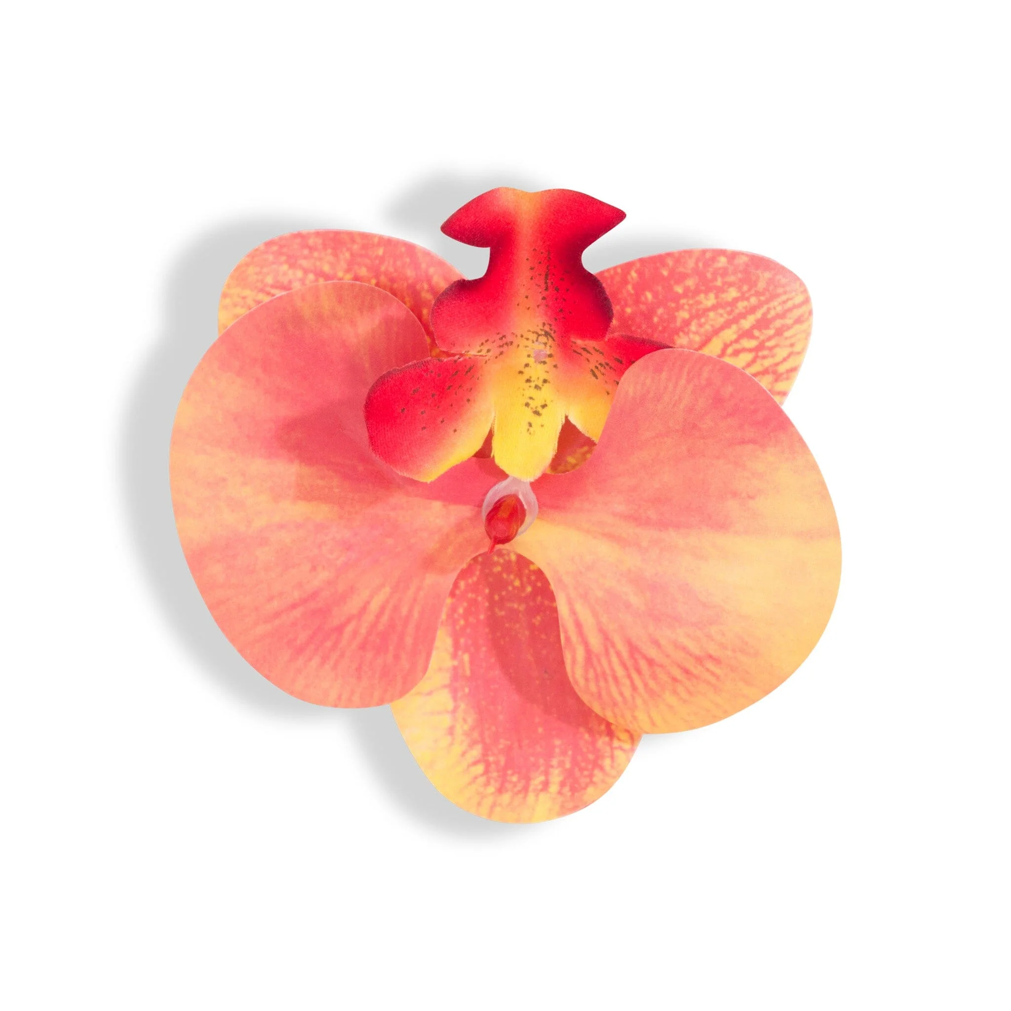 ORCHID FLOWER PEACH
