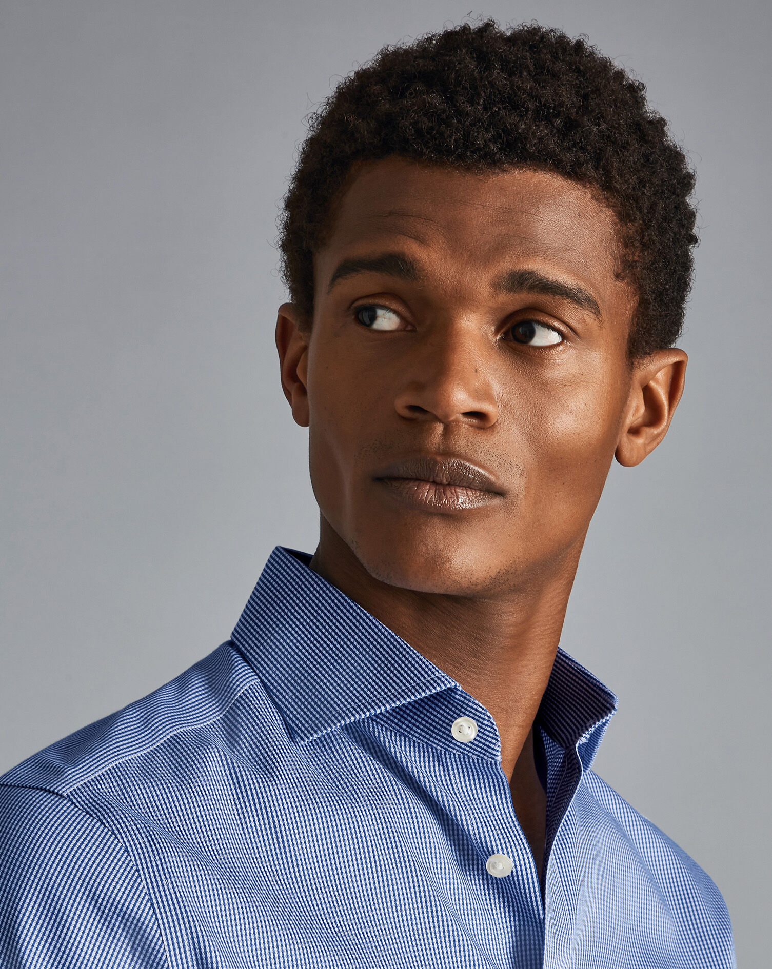 Spread Collar Non-Iron Puppytooth Shirt - Royal Blue