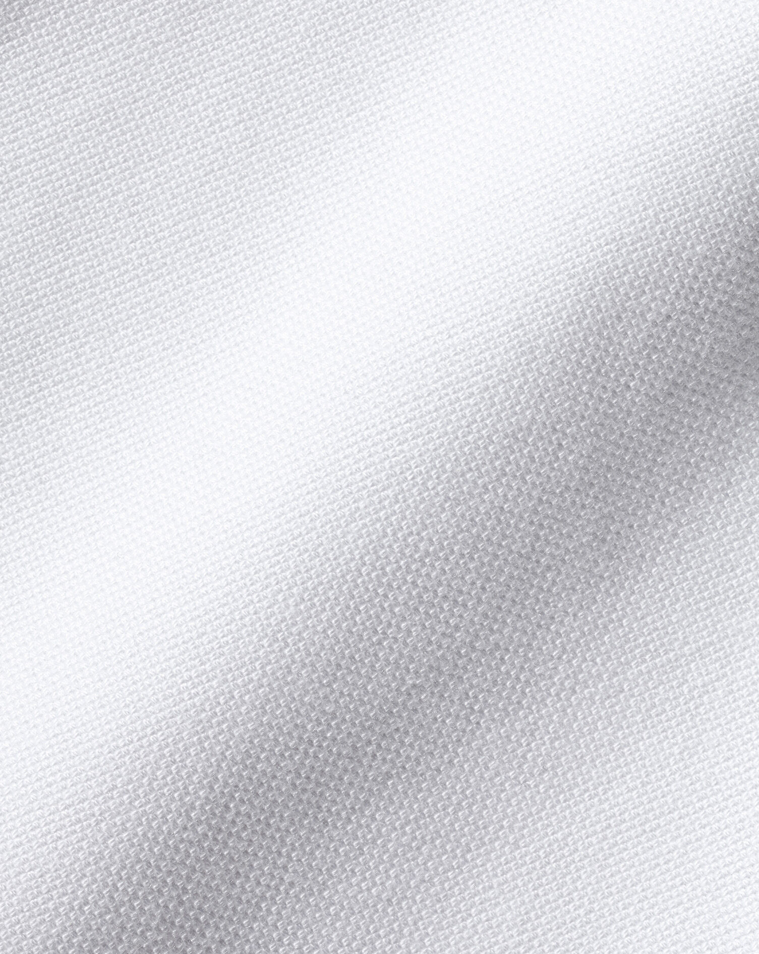 England Rugby Button-Down Collar Washed Oxford Shirt with Red Rose - White