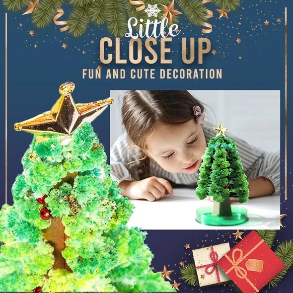 Early Christmas Hot Sale 50% OFF - Miracle Growing Christmas Tree(Buy 4 Free Shipping)