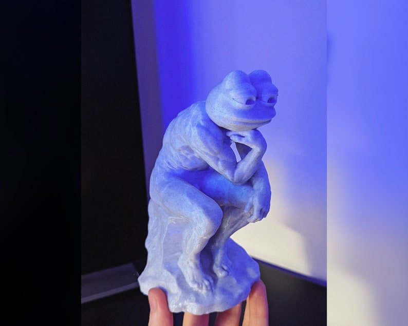 Funny Frog Gift 🎁🐸 – Perfect for Holidays & Special Occasions!