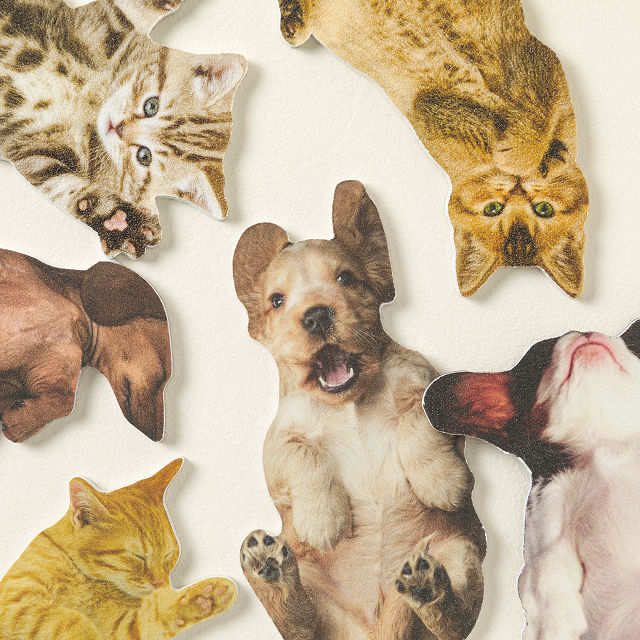 Scratch the Belly Nail Files – Set of 3