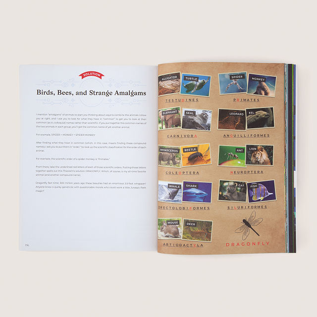 Master Theorem Book of Puzzles