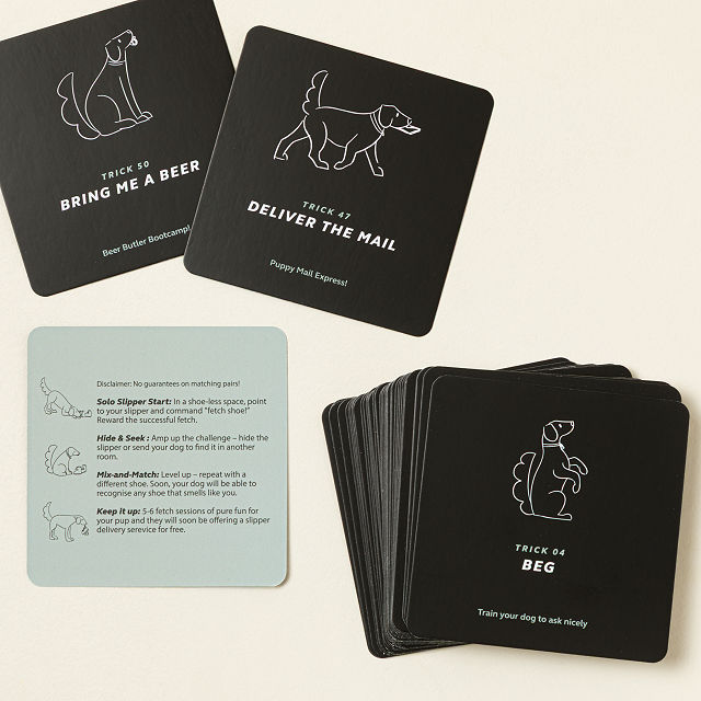 Puppy Party Trick Training Set