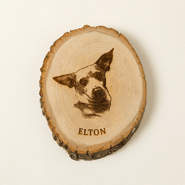 Personalized Pet Portrait Live Edge Wood Art