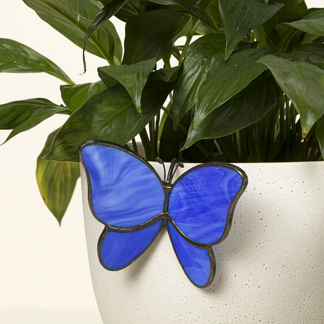 Stained Glass Plant Buddy