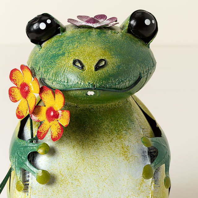 Fred the Frog Watering Can