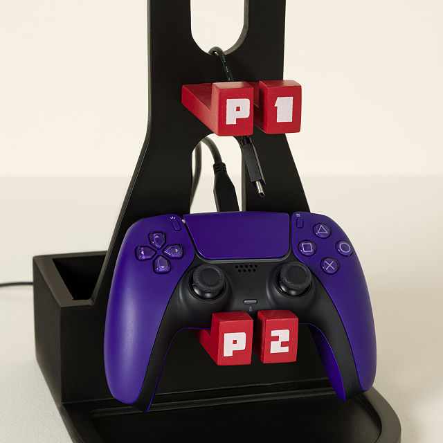 Gamer Storage Station