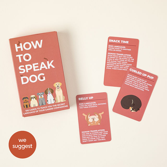 Doggie Massage Therapy Workshop