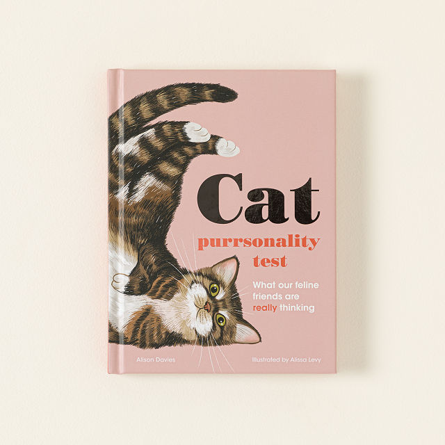 Cat Purrsonality Test