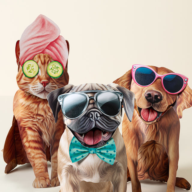 Dress Your Furry Friends Pop Up Greeting Card