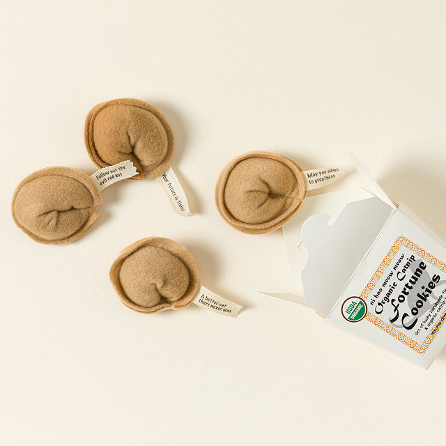 Catnip Fortune Cookie Toy