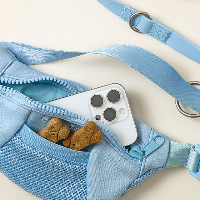 4-in-1 Hands-Free Dog Walking Leash Bag