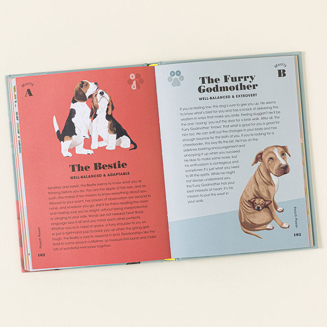 Dog Pawsonality Test