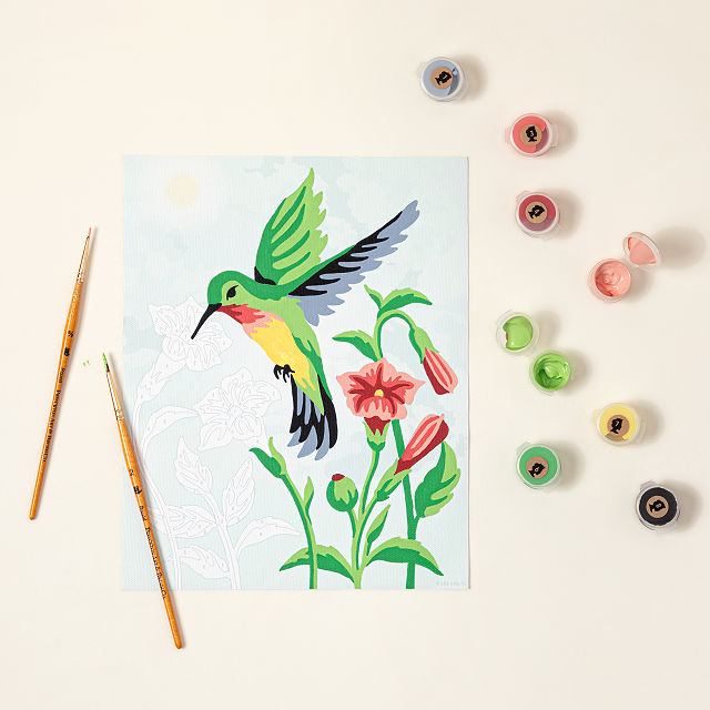 Hummingbird Paint-by-Number Kit