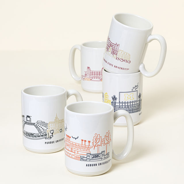 College Cityscape Mug