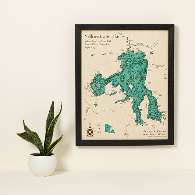 Lake Topography Art