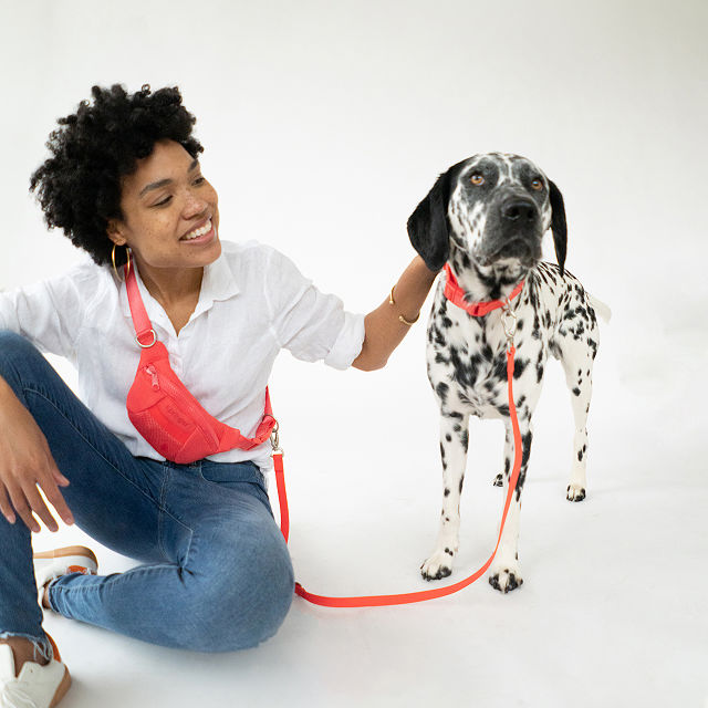 4-in-1 Hands-Free Dog Walking Leash Bag