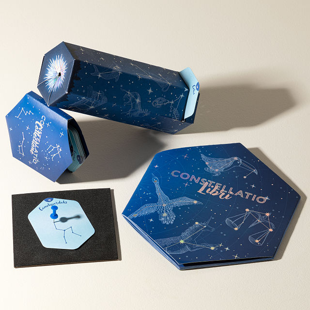 DIY Constellation Viewer