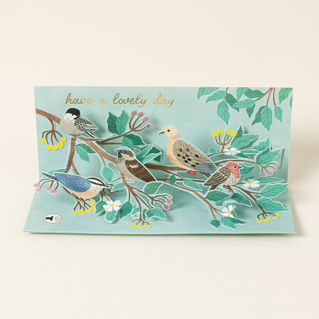 Bird Song Audio Greeting Card