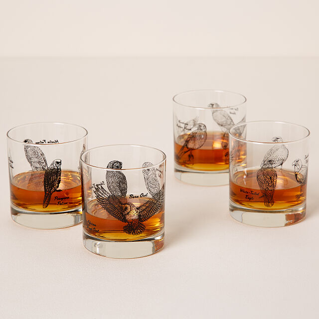 Birds of Prey Rocks Glass Set