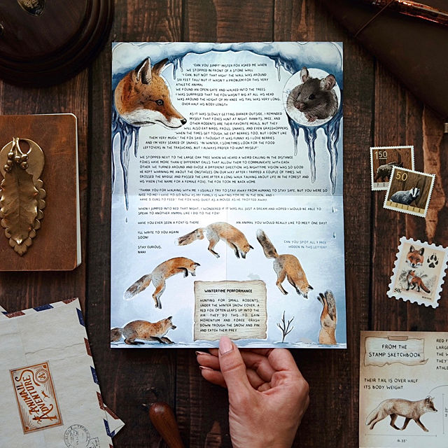 Kids Animail Adventures 6-Month Subscription