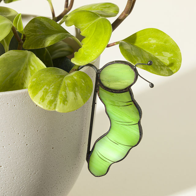 Stained Glass Pot Crawlers