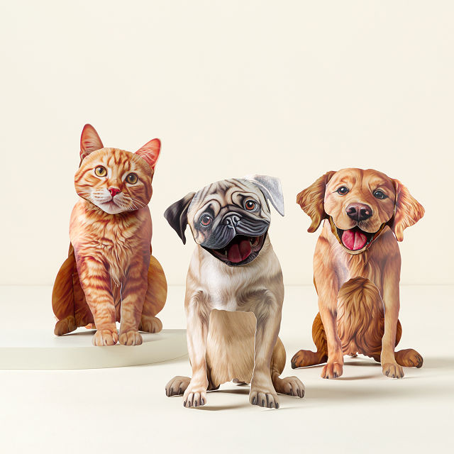 Dress Your Furry Friends Pop Up Greeting Card