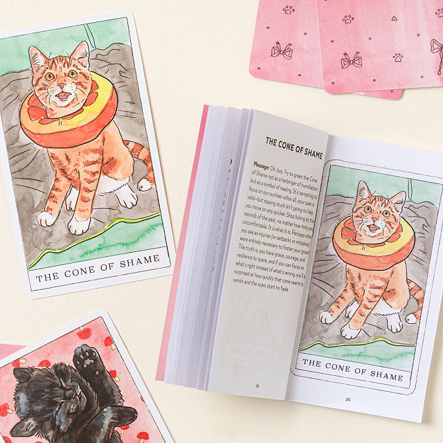 The Kitten Oracle Deck of Feline Wisdom