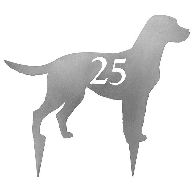 Dog Lawn Stakes