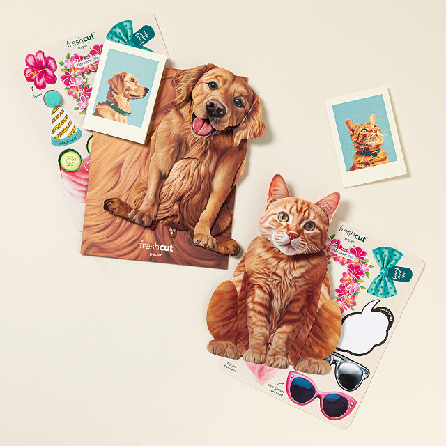 Dress Your Furry Friends Pop Up Greeting Card