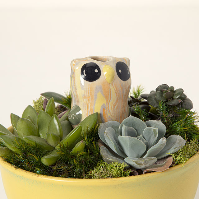 Bird & Owl Plant Watering Dripper