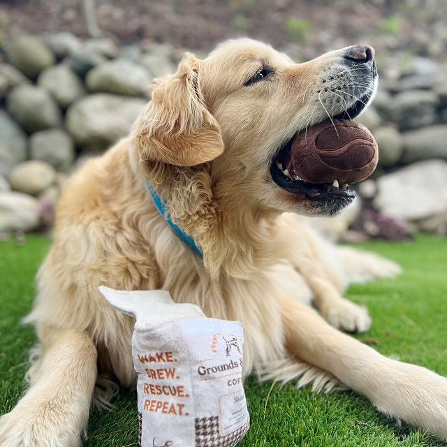 Beans & Barks Coffee Gift Set