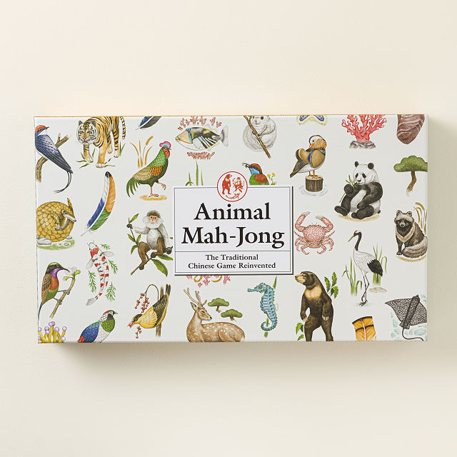 Learn to Play Mah-Jong for Kids