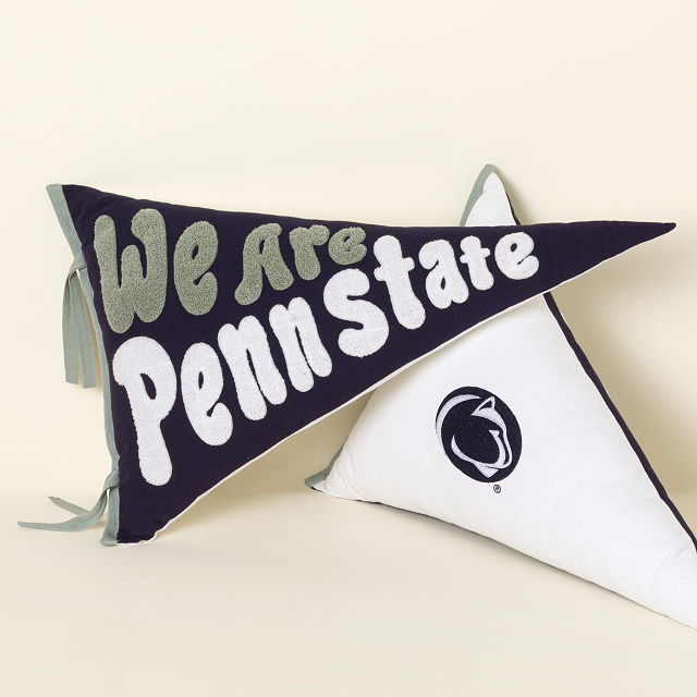 Your College Cheer Pennant Pillow