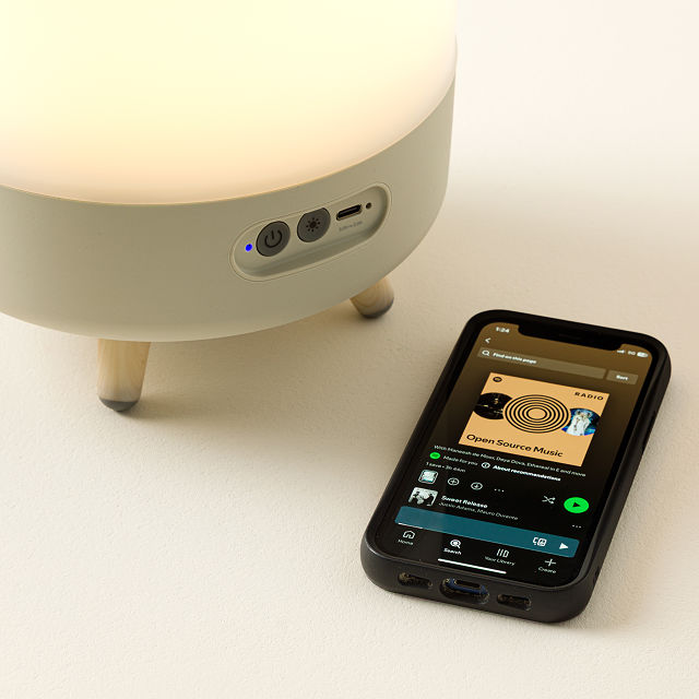Portable Lite-Up Speaker