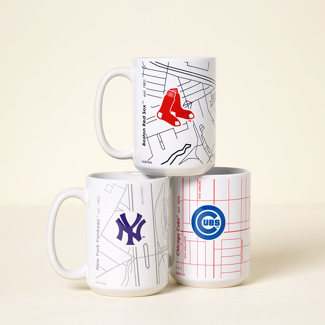 MLB Ballpark Map Mug