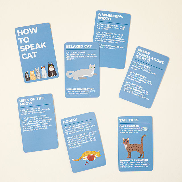 How To Speak Cat Cards