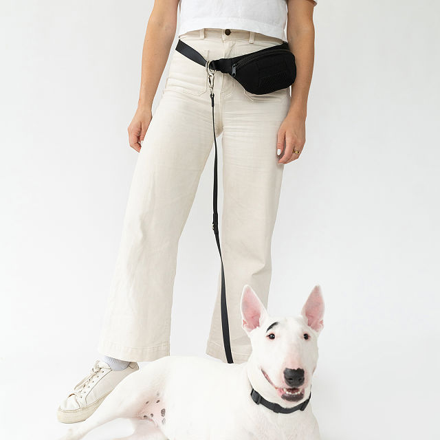 4-in-1 Hands-Free Dog Walking Leash Bag