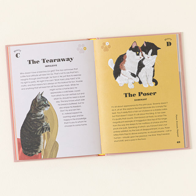 Cat Purrsonality Test