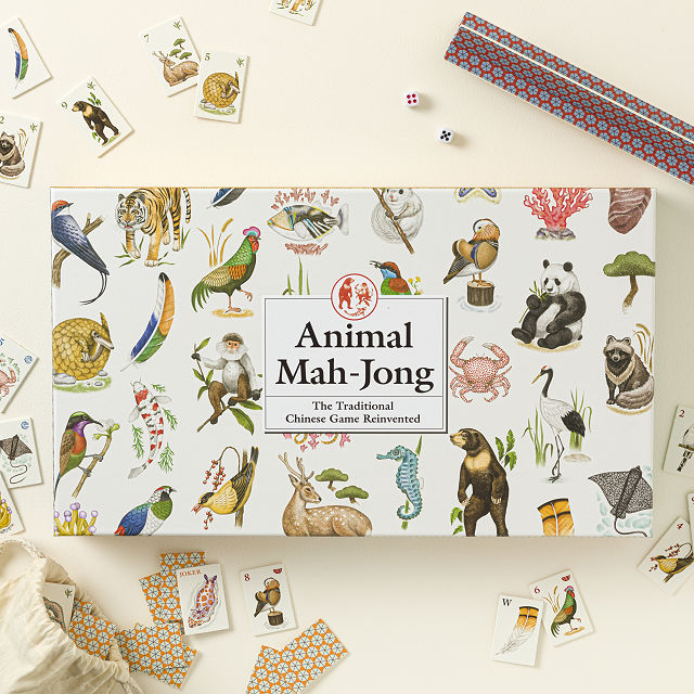 Learn to Play Mah-Jong for Kids