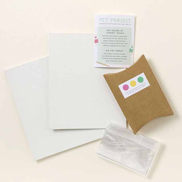 Pawcasso Art Kit for Pets