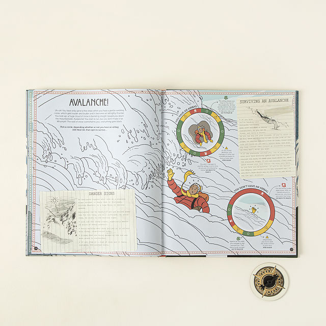 Spin to Survive Adventure Book