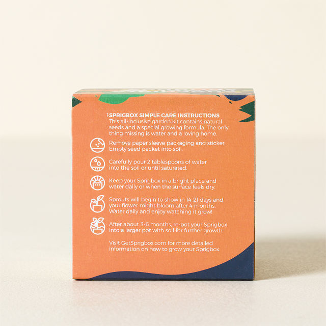 Chocolate Flower Grow Kit