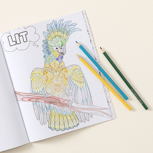 Creative Thinking Journal